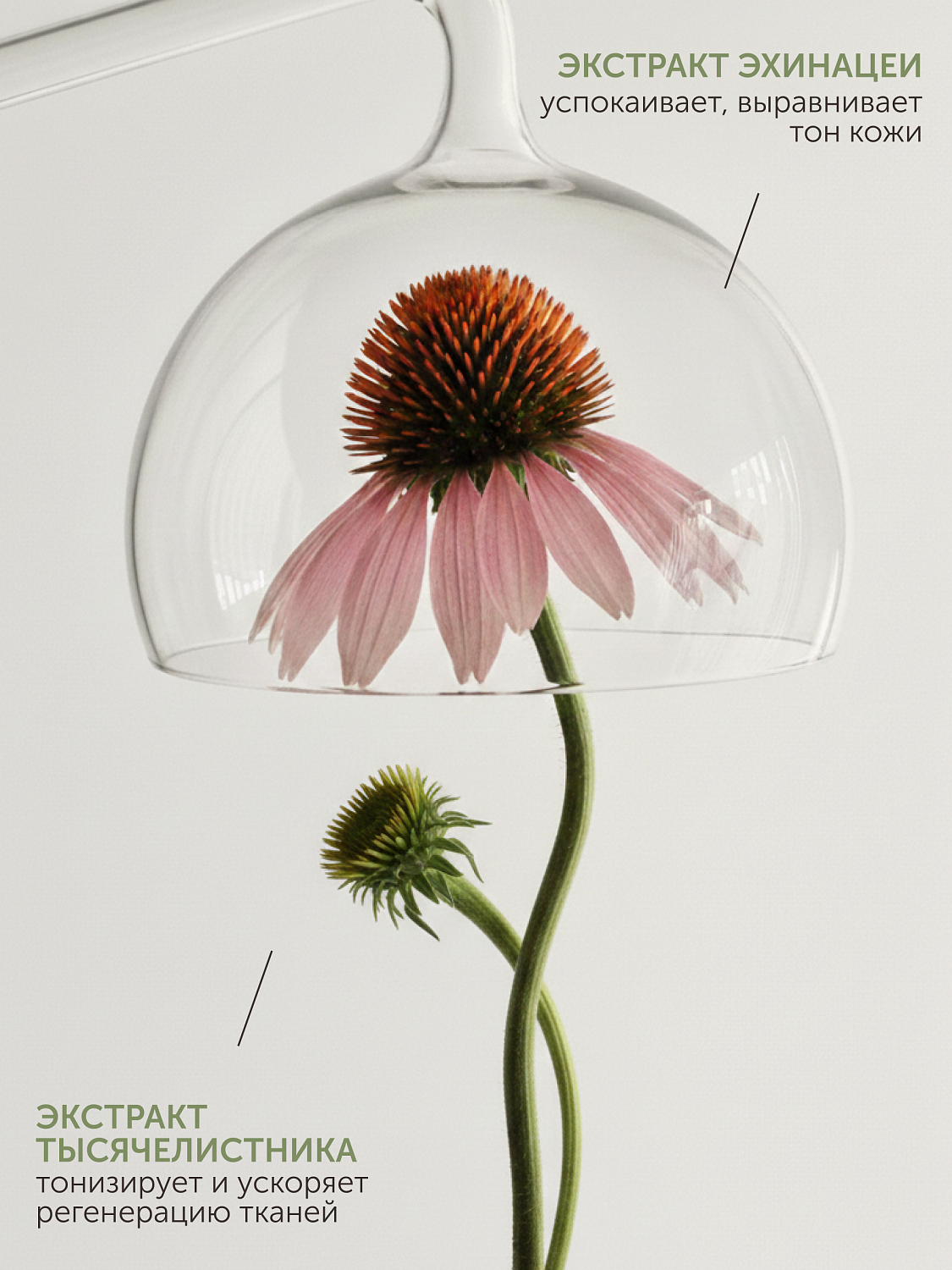 Успокаивающий тонер CALM EXPERT с инулином против сухости и покраснений