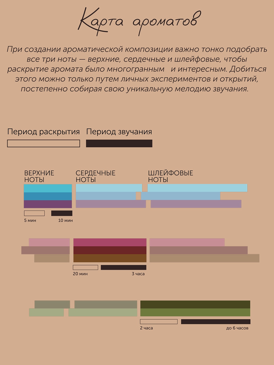 Пихта Abies Sibirica 
