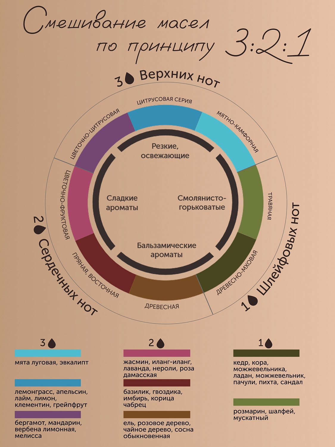 Пихта Abies Sibirica 