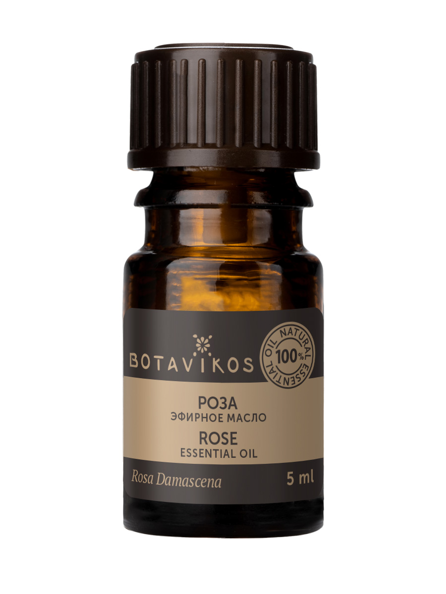 Роза Rosa Damascena