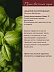 Базилик Ocimum Basilicum