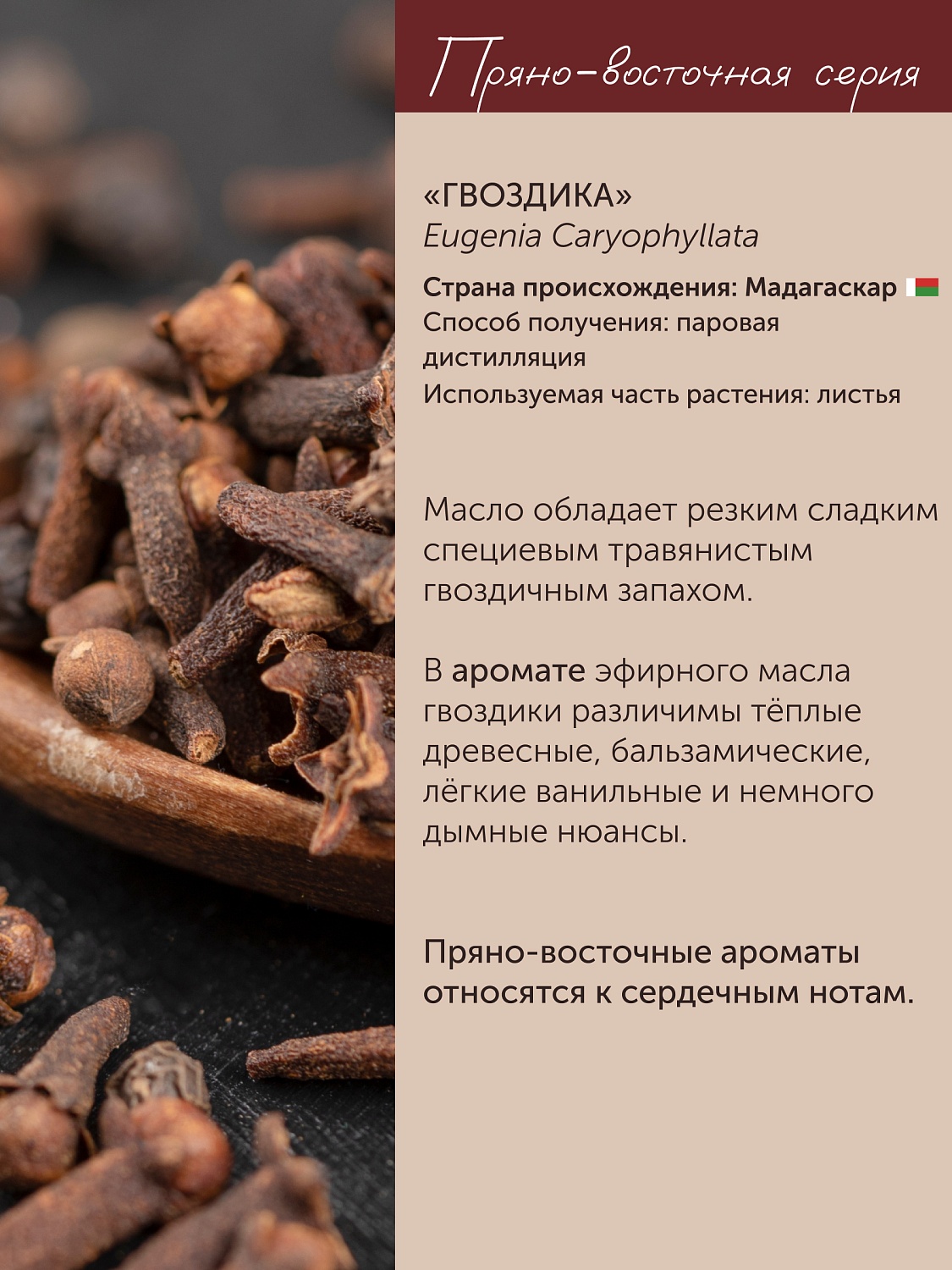 Гвоздика Eugenia Caryophyllata