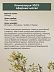 Гель-масло для душа Сантал-Ветивер Botavikos x Vegetarian, гидролипидное восстановление