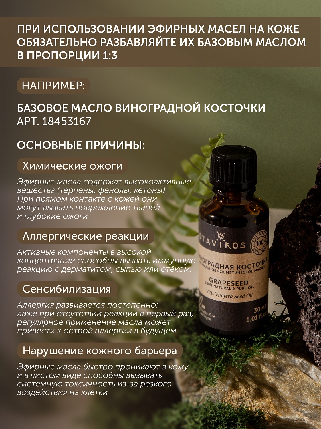 Ель Picea Abies