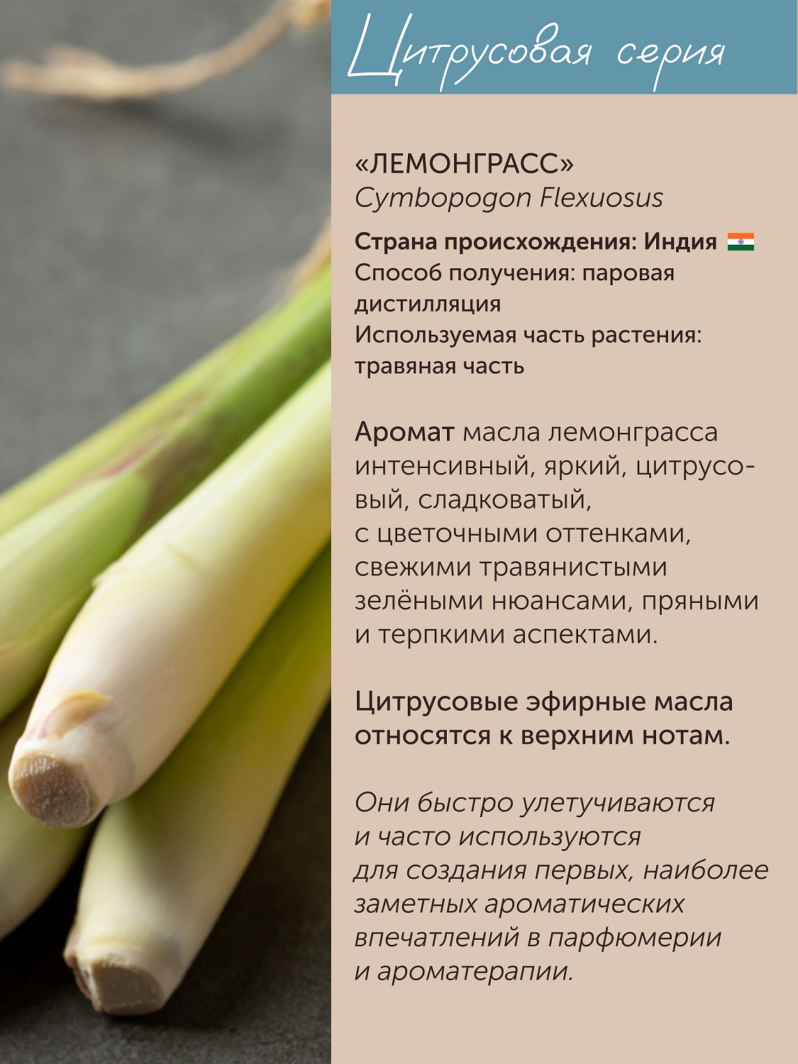 Лемонграсс Cymbopogon Flexuosus 