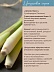 Лемонграсс Cymbopogon Flexuosus 