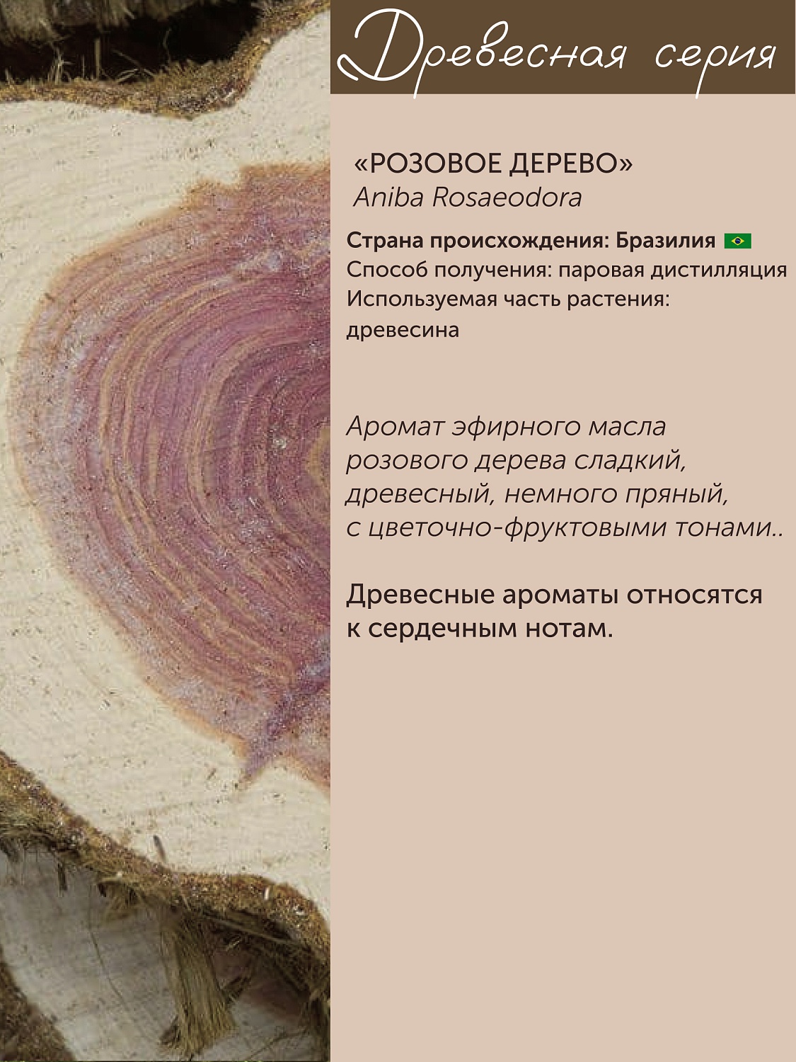 Розовое дерево Aniba Rosaeodora