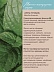 Мята Mentha Arvensis