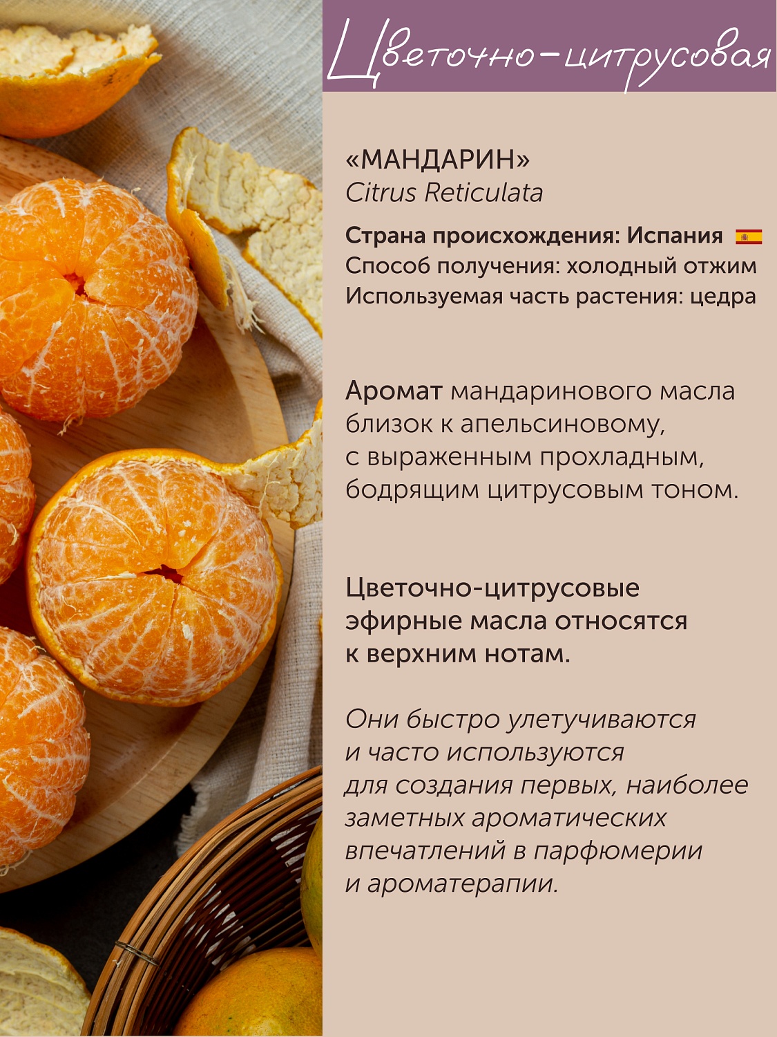 Мандарин Citrus Reticulata