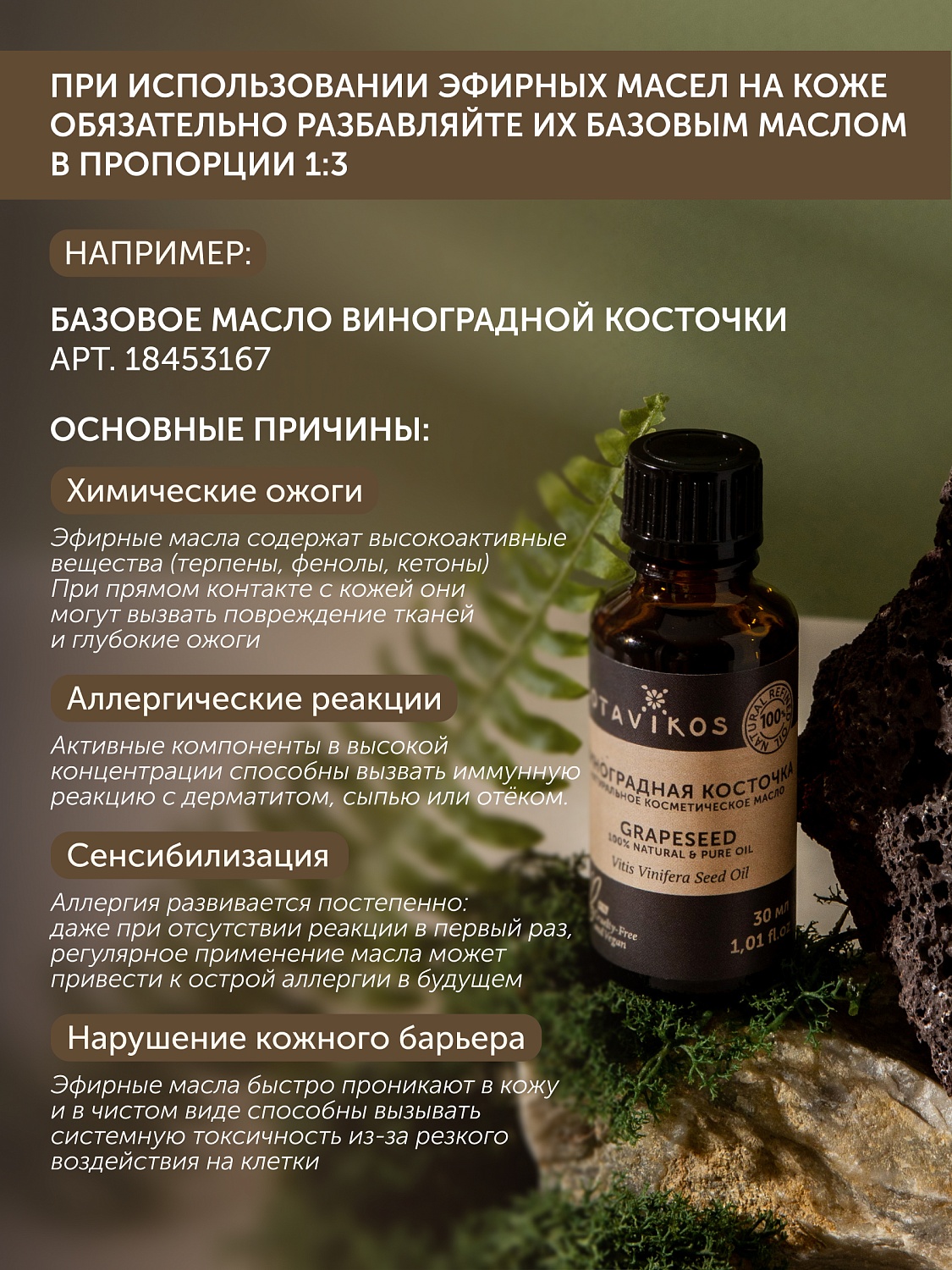 Сосна Pinus Sylvestris 