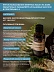 Апельсин Citrus Sinensis Osbeck