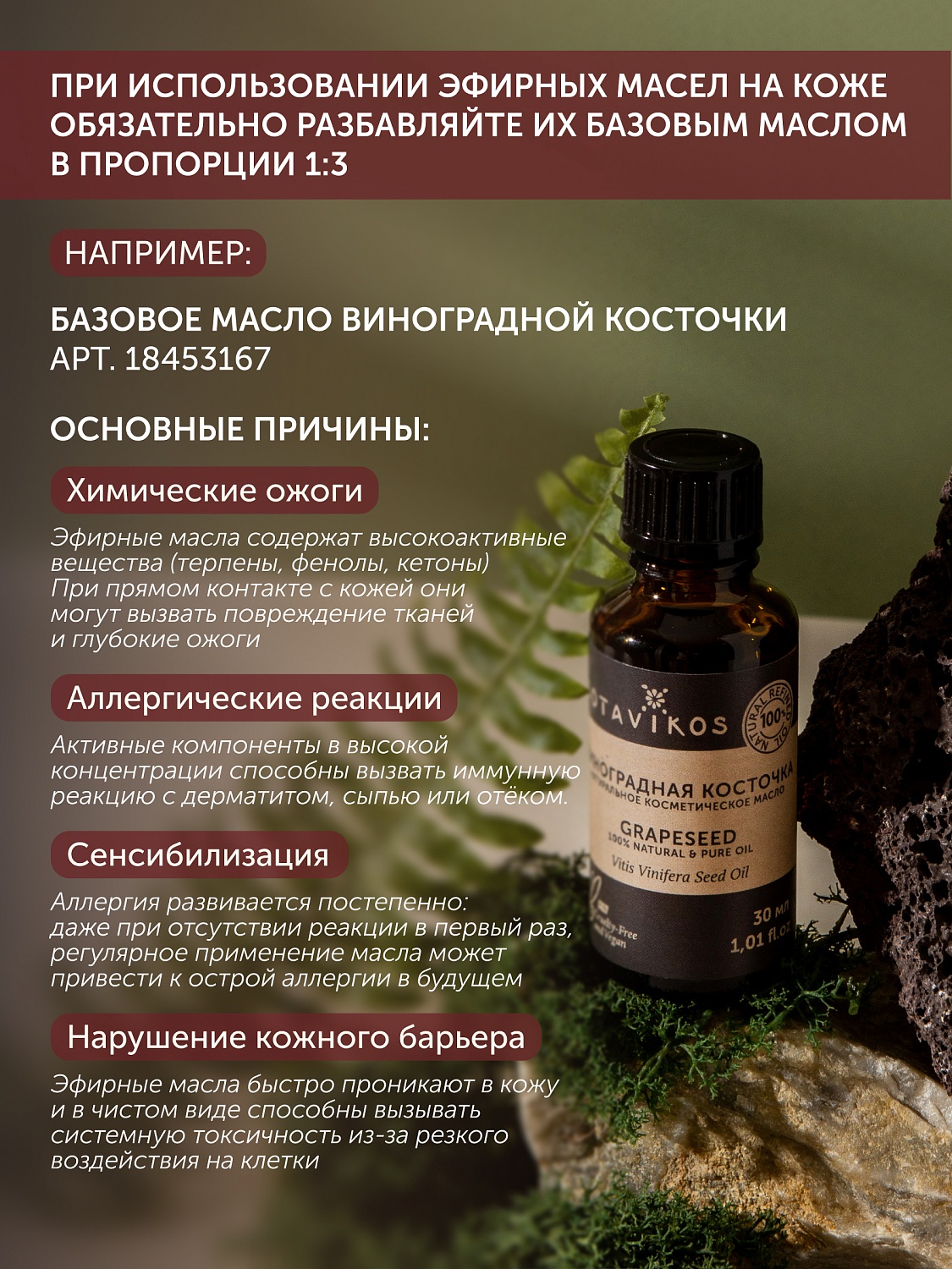 Базилик Ocimum Basilicum