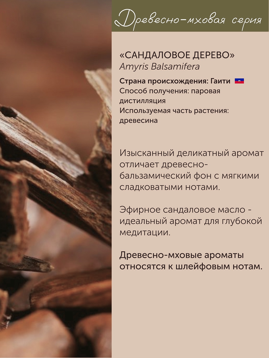Сандаловое дерево Amyris Balsamifera 