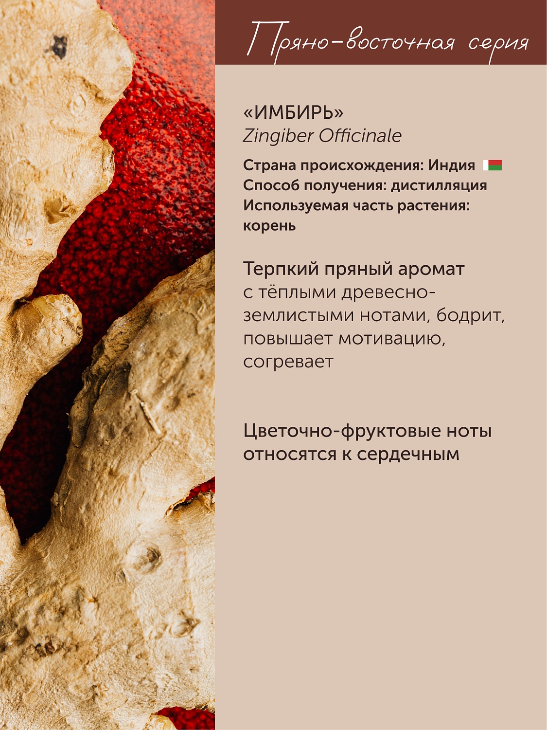 Имбирь Zingiber Officinale 