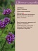 Вербена Lippia Citriodora