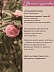 Роза Rosa Damascena