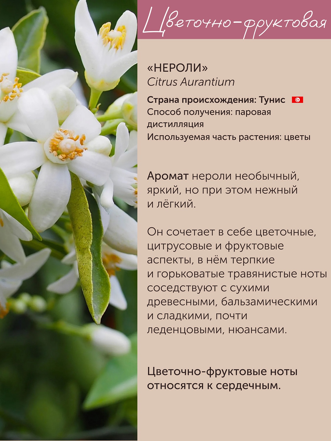 Нероли Citrus Aurantium Amara